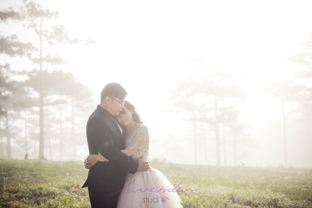 Chụp ảnh cưới ở Đà Lạt tại Lavender